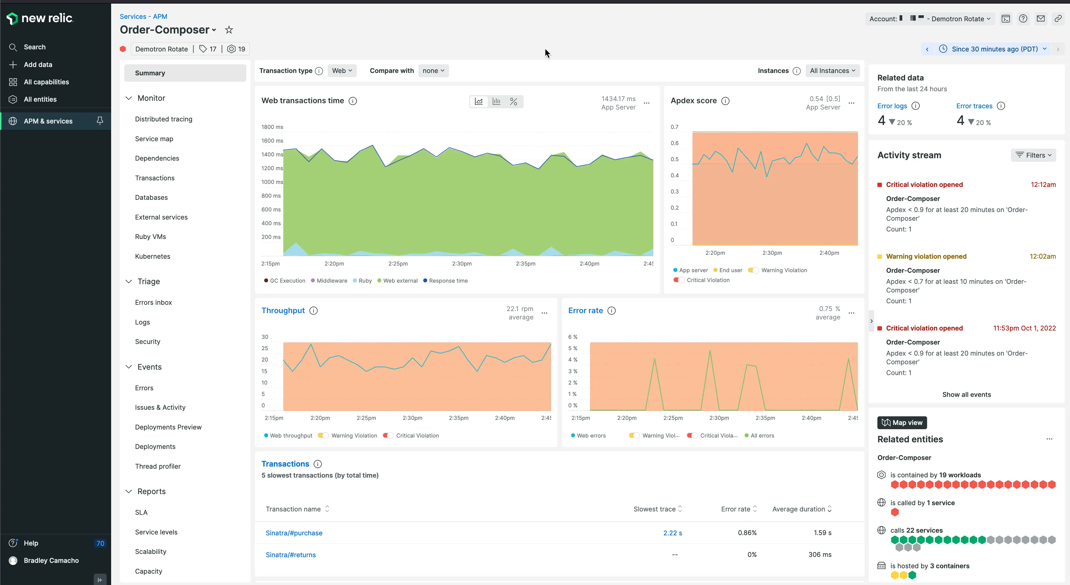 New Relic APM dashboard