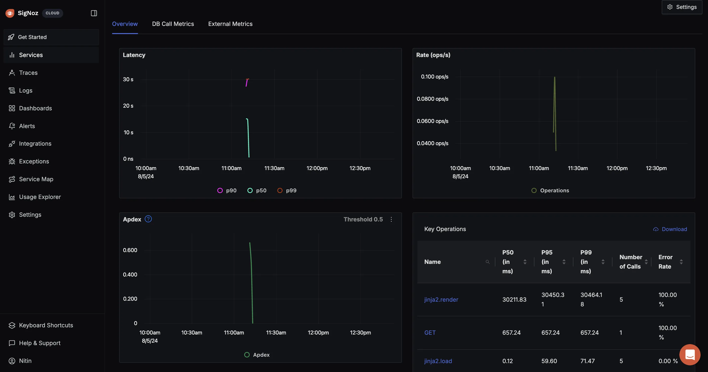 SigNoz Dashboard Services Overview